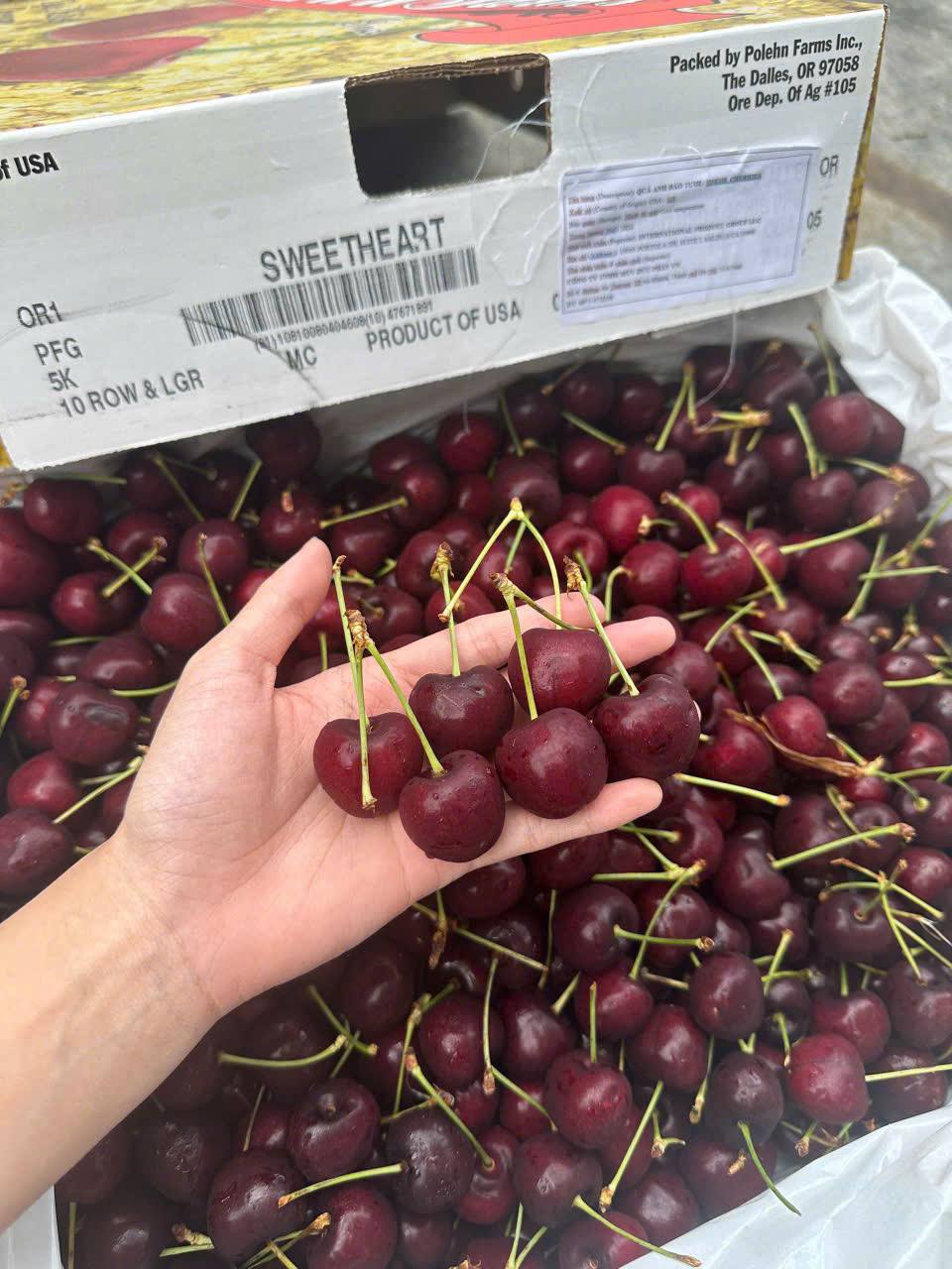 Cherry Mỹ